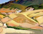 华金索罗利亚巴斯蒂达 - Near Jaca